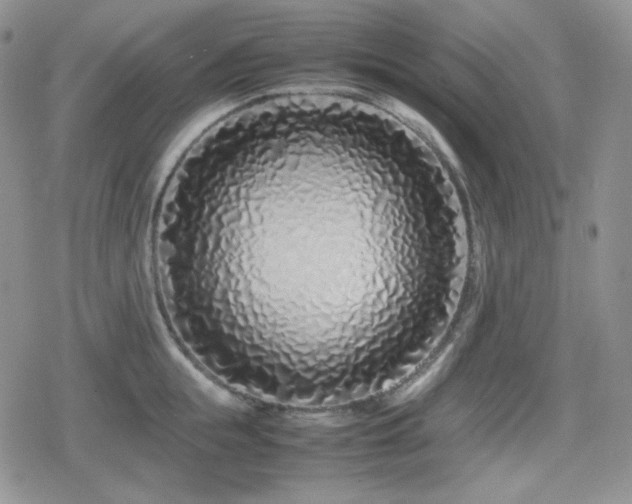 X0000080110855200612081225