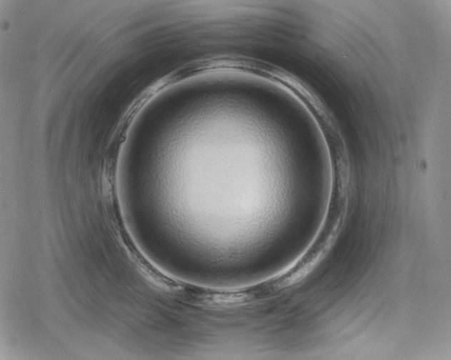 X0000080110857200612081225