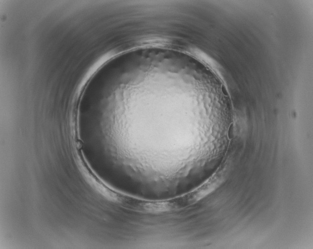 X0000080110859200612081225
