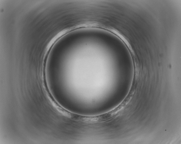 X0000080110861200612081225