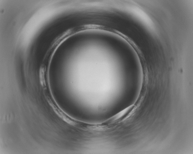 X0000080110862200612081225