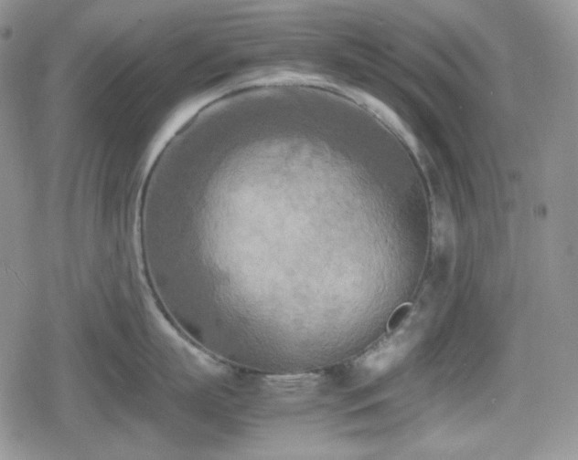 X0000080110863200612081225