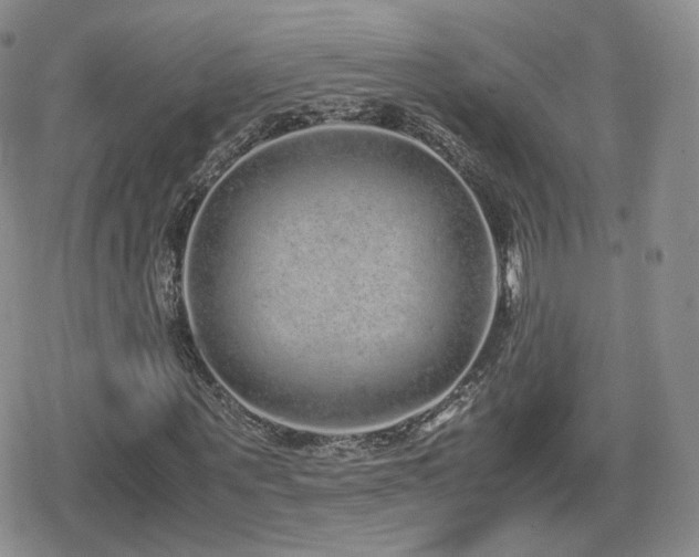 X0000080110867200612081224