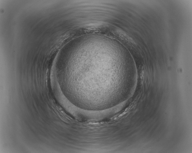 X0000080110868200612081224
