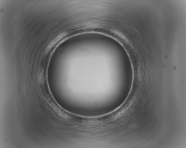 X0000080110873200612081224