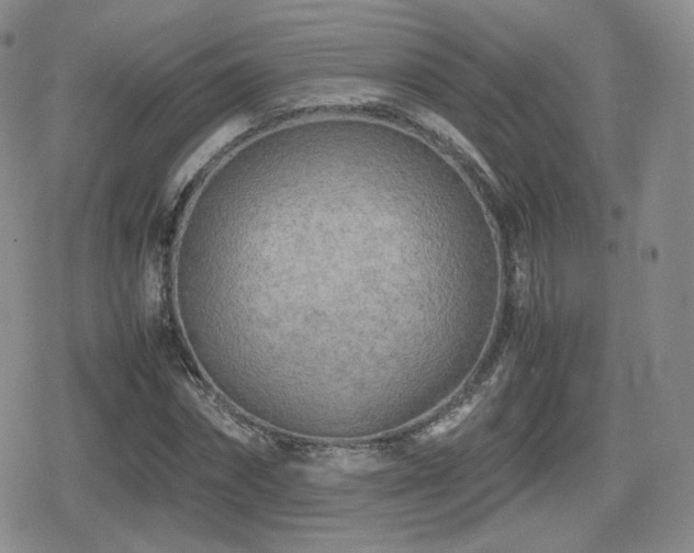 X0000080110874200612081224