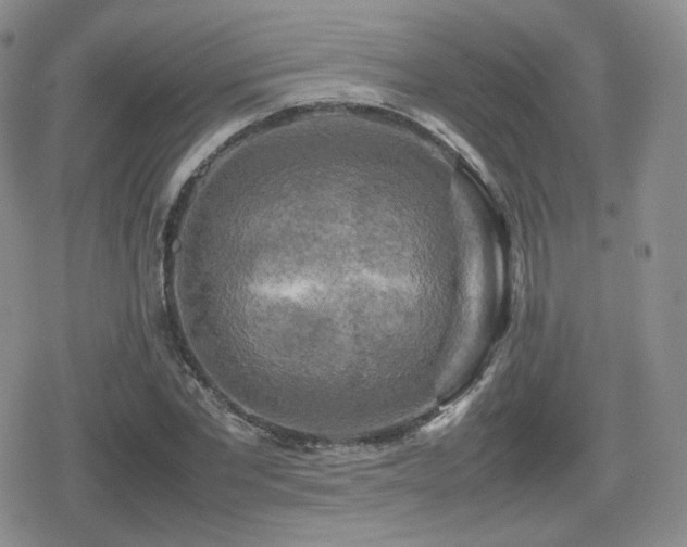 X0000080110877200612081224