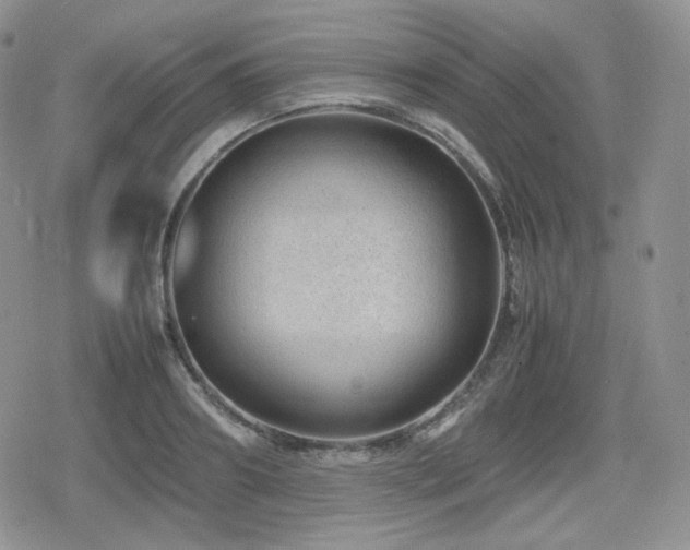 X0000080110890200612081224