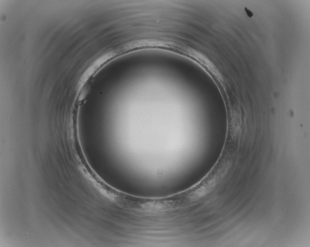 X0000080110898200612081224