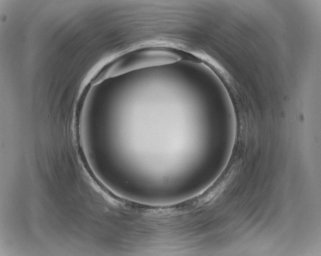 X0000080110902200612081224