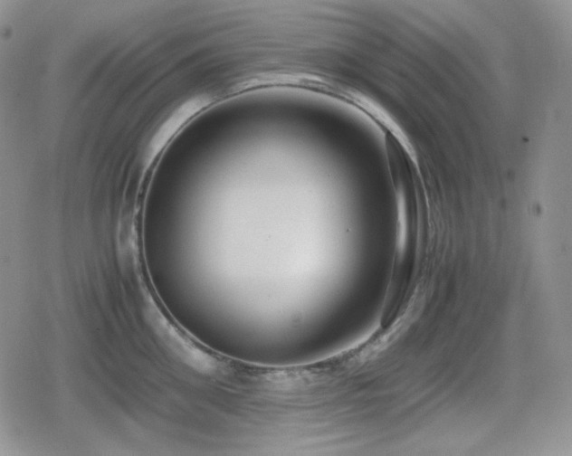 X0000080110906200612081224