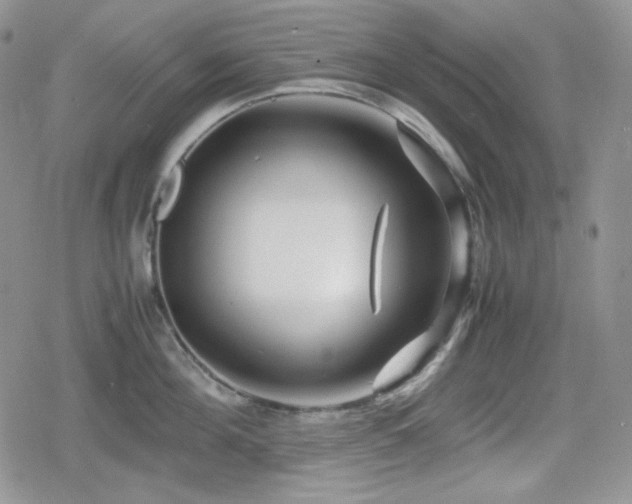 X0000080110908200612081224