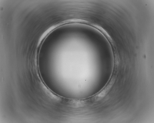 X0000080110910200612081224