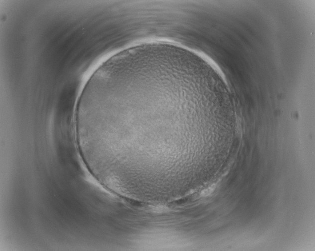 X0000080110911200612081224