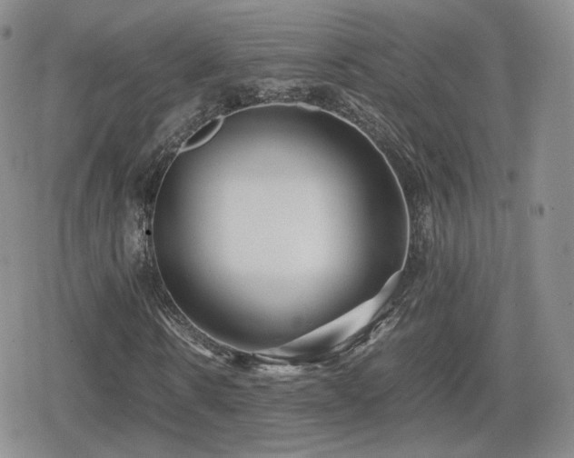 X0000080110914200612081223