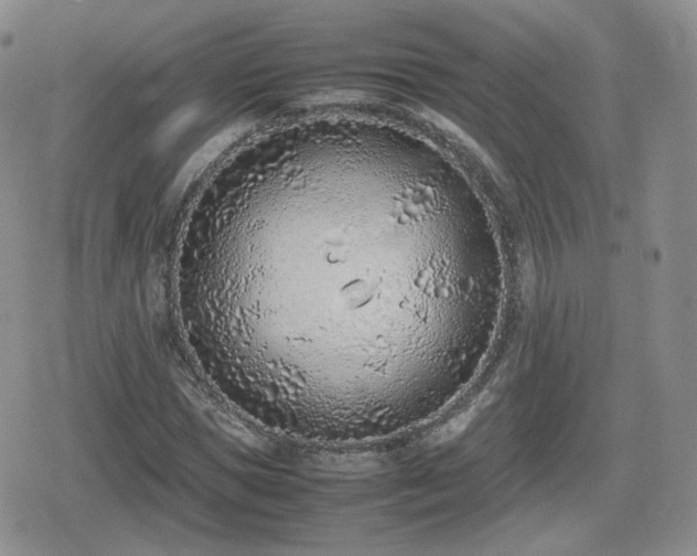 X0000080110921200612081223