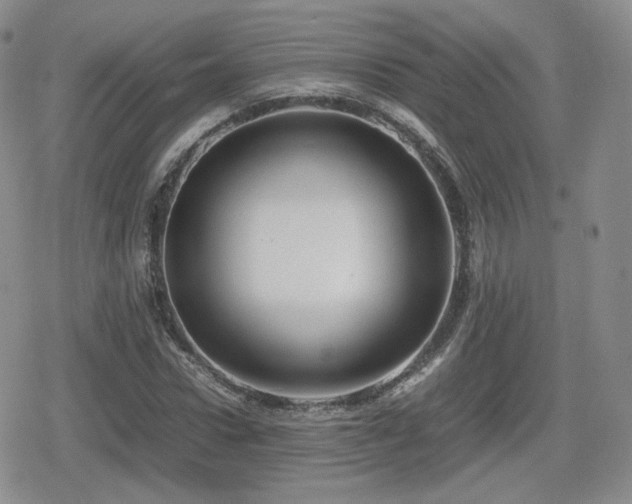 X0000080110922200612081223