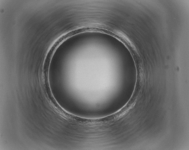 X0000080110924200612081223