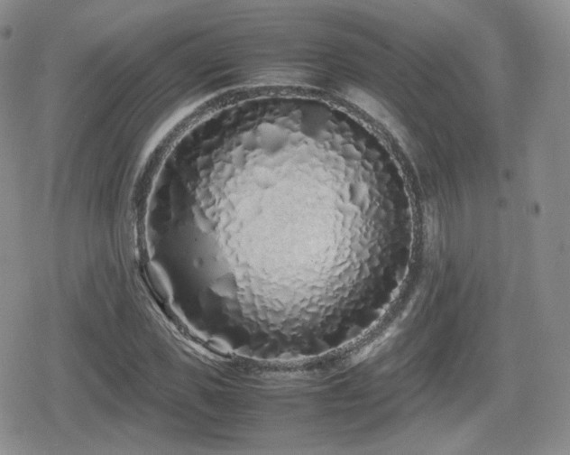 X0000080110925200612081223