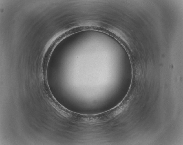 X0000080110927200612081223
