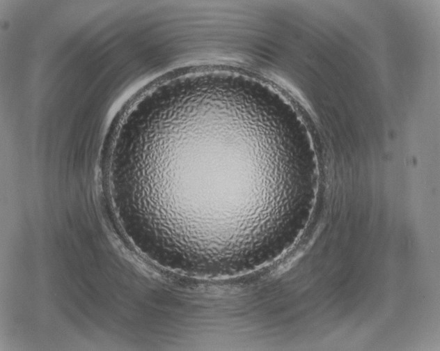 X0000080110928200612081223