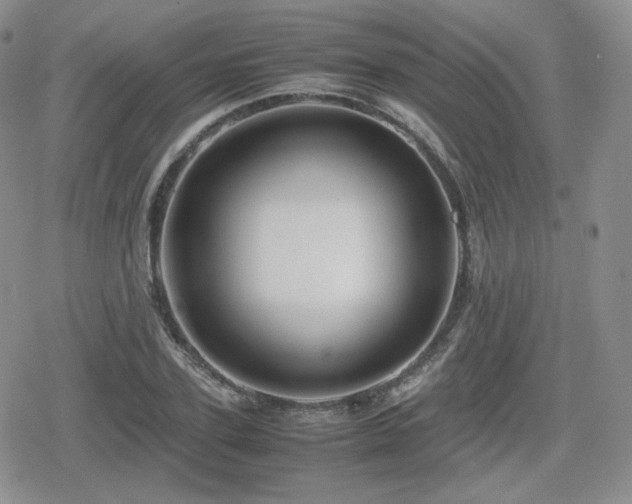 X0000080110931200612081223
