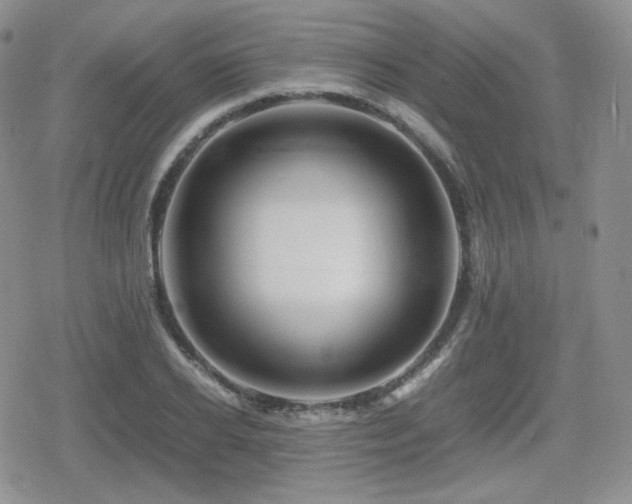 X0000080110934200612081223