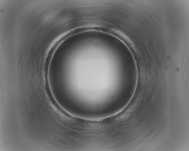 X0000080110935200612081223