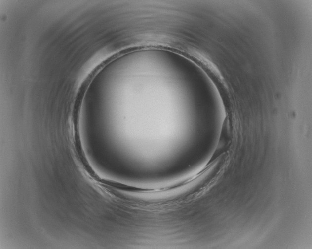 X0000080110936200612081223