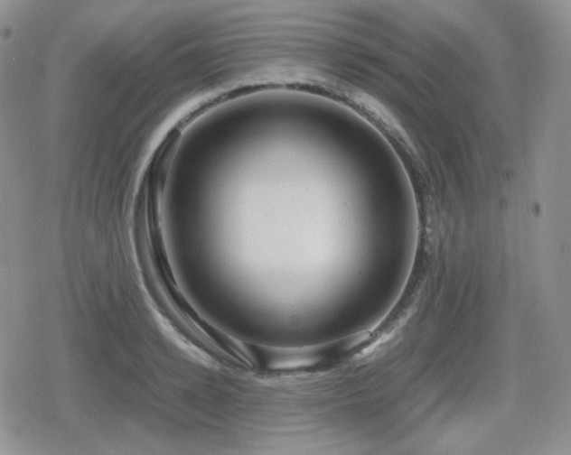 X0000080110942200612081223