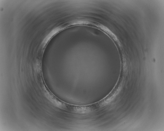 X0000080110945200612081223