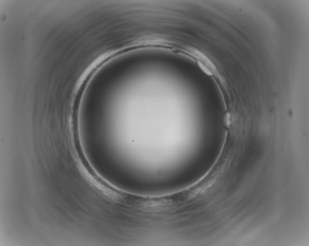 X0000080110947200612081223