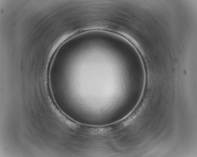 X0000080110949200612081224