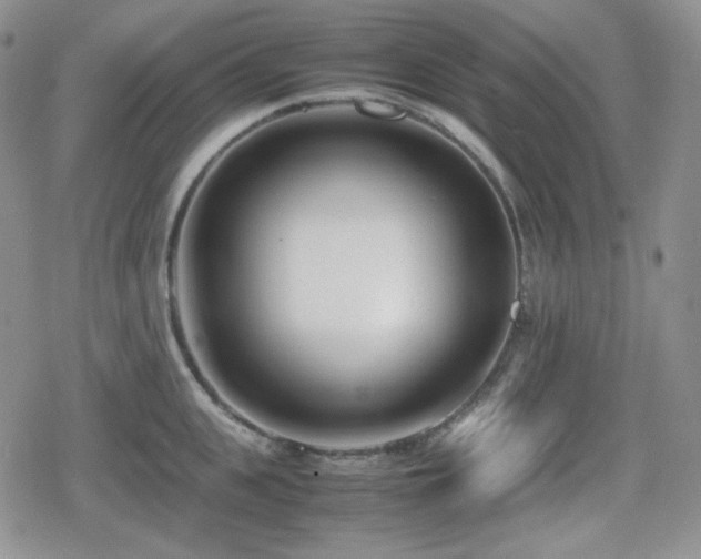 X0000080110951200612081224