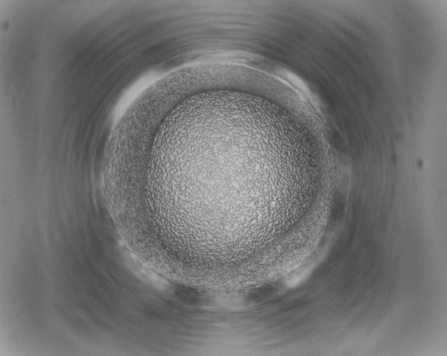 X0000080110952200612081224