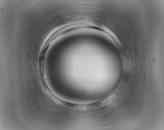 X0000080110956200612081224