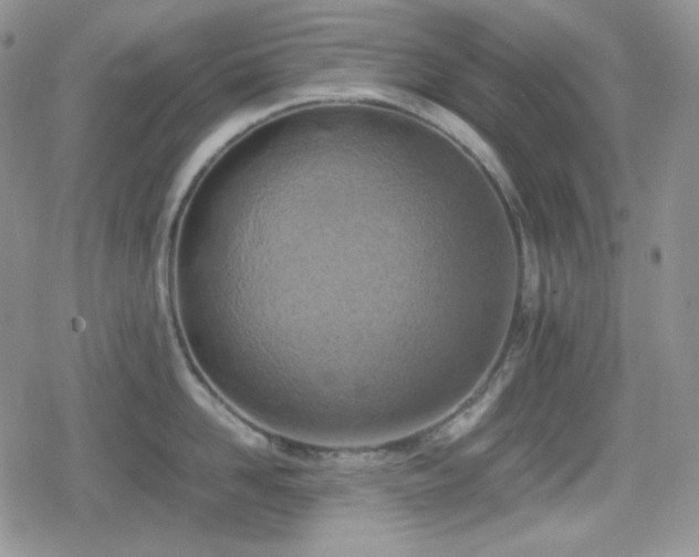 X0000080110958200612081224