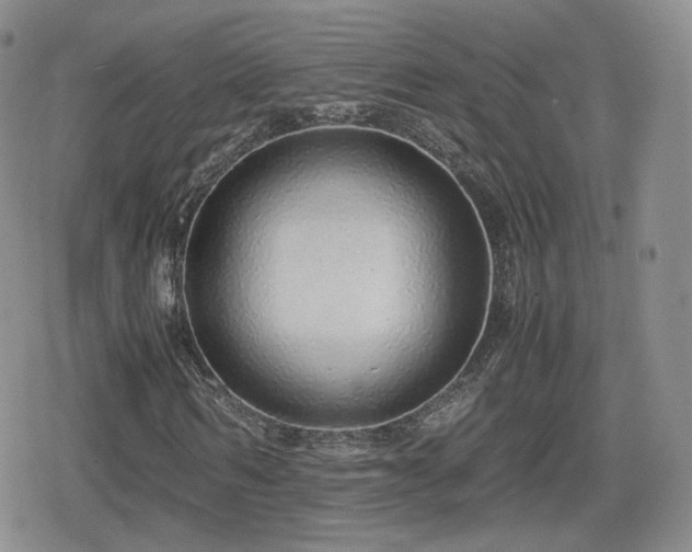 X0000080110962200612081223