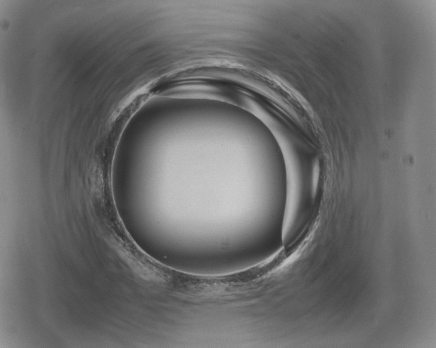 X0000080110969200612081223