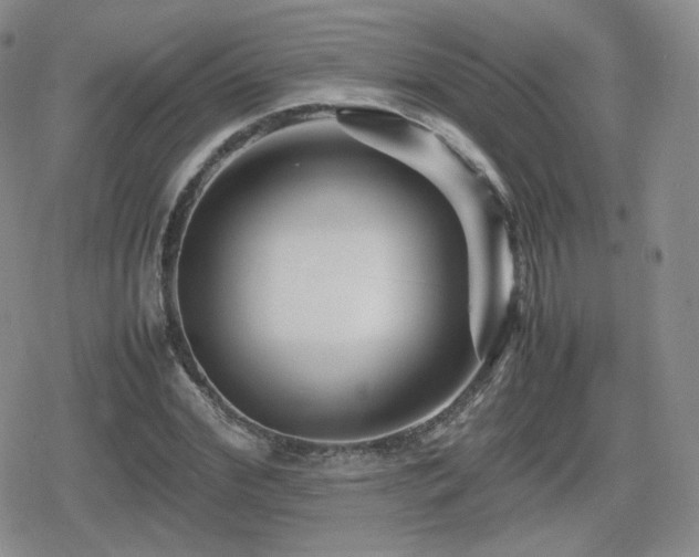 X0000080110972200612081223