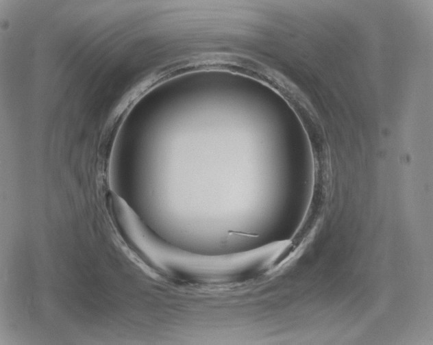 X0000080110985200612081223