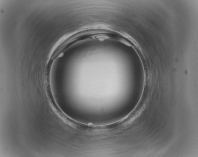 X0000080110989200612081222