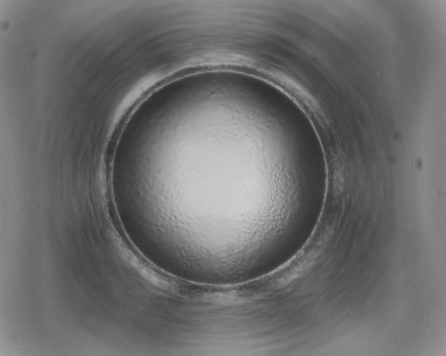 X0000080110990200612081222