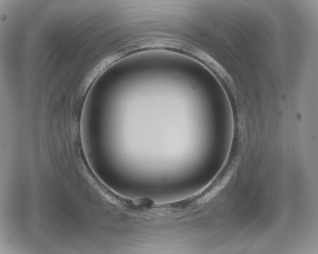 X0000080110993200612081222