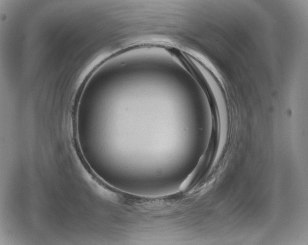X0000080110999200612081222
