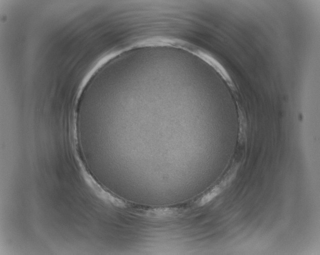 X0000080111000200612081222
