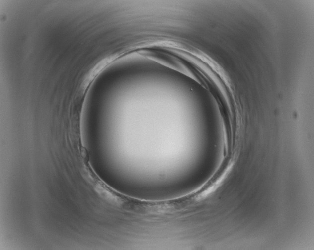 X0000080111001200612081222