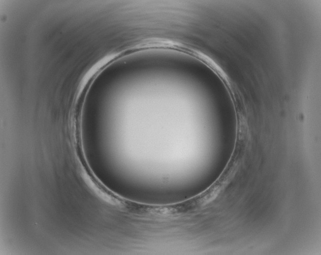 X0000080111003200612081222