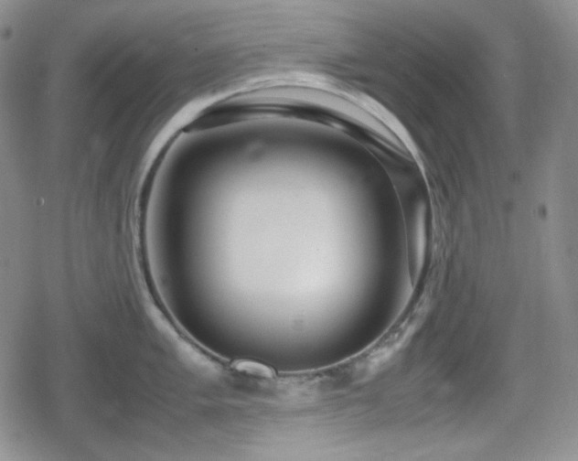 X0000080111005200612081222