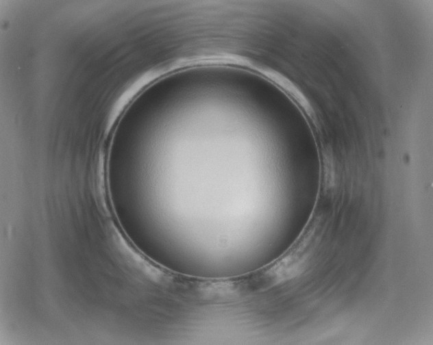 X0000080111006200612081222